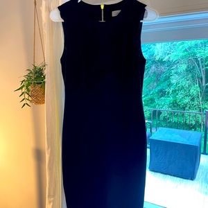 Calvin Klein Velvet Dress